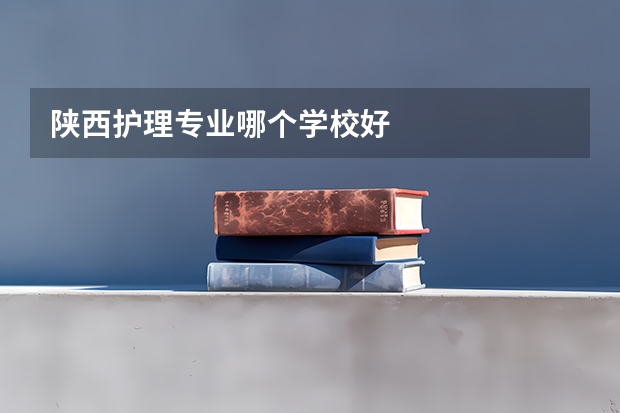 陕西护理专业哪个学校好