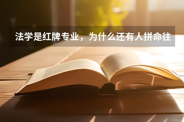 法学是红牌专业,为什么还有人拼命往法学方面转?