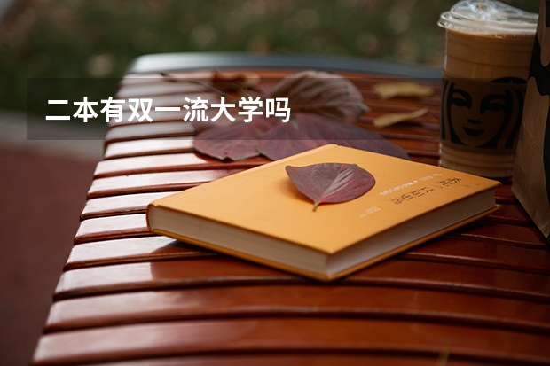 二本有双一流大学吗
