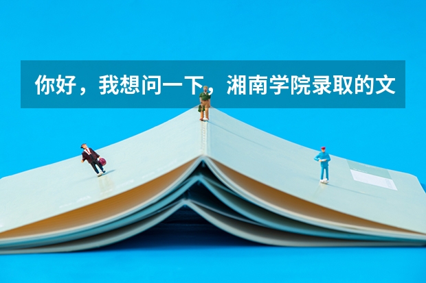 你好，我想问一下，湘南学院录取的文化分是多少？
