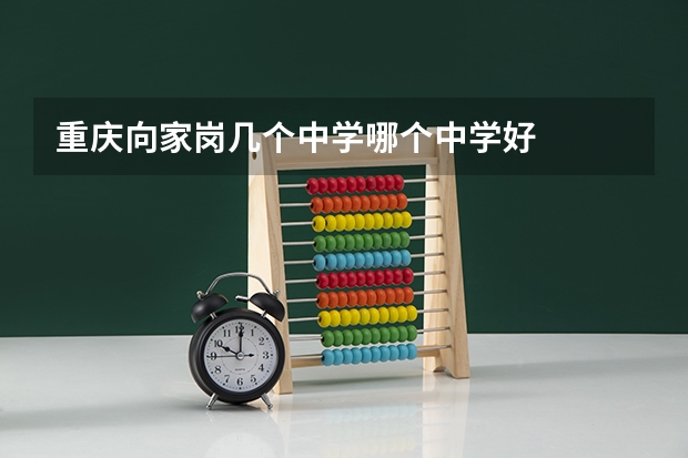 重庆向家岗几个中学哪个中学好