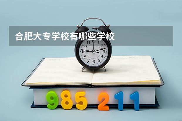 合肥大专学校有哪些学校