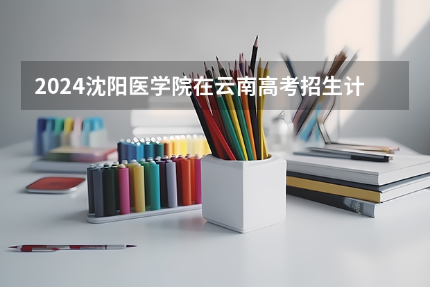 2024沈阳医学院在云南高考招生计划介绍