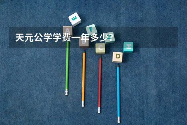 天元公学学费一年多少？