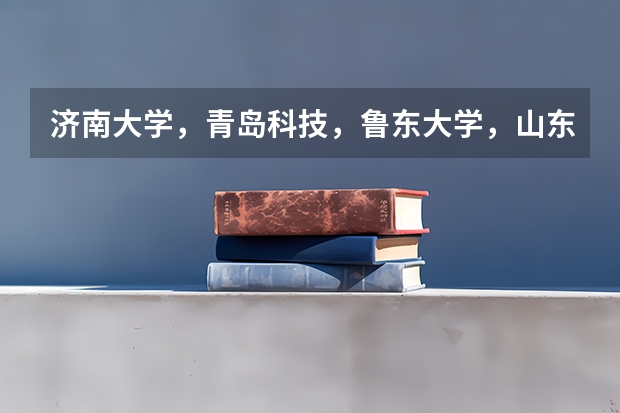 济南大学,青岛科技,鲁东大学,山东理工哪个好
