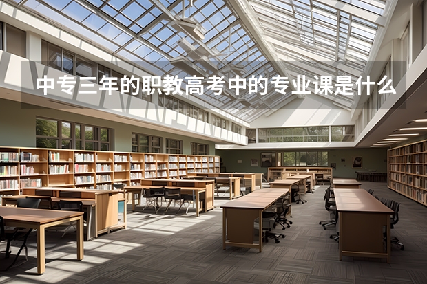 中专三年的职教高考中的专业课是什么