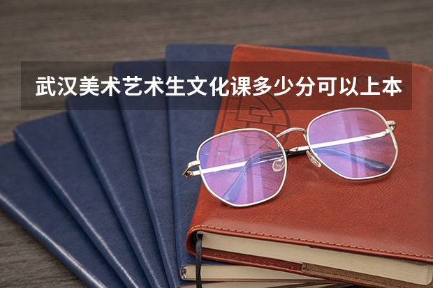 武汉美术艺术生文化课多少分可以上本科大学