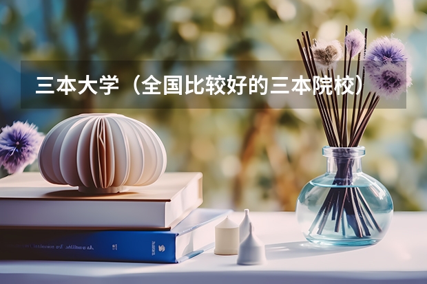 三本大学（全国比较好的三本院校）