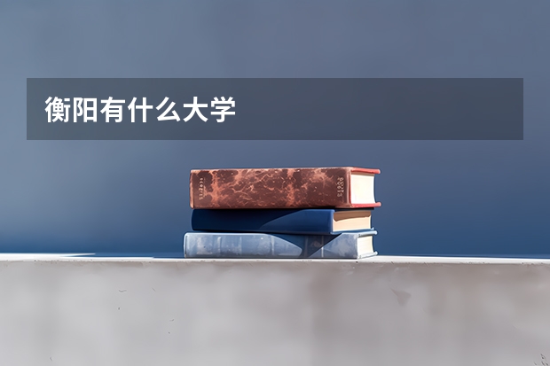 衡阳有什么大学