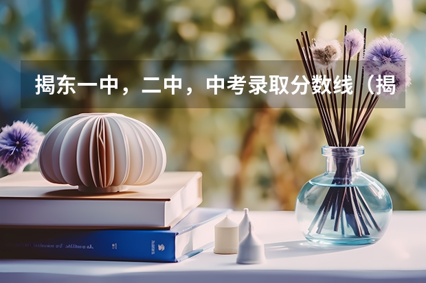 揭东一中，二中，中考录取分数线（揭东区小升初一中录取分数线2023）