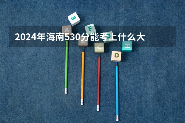 2024年海南530分能考上什么大学？