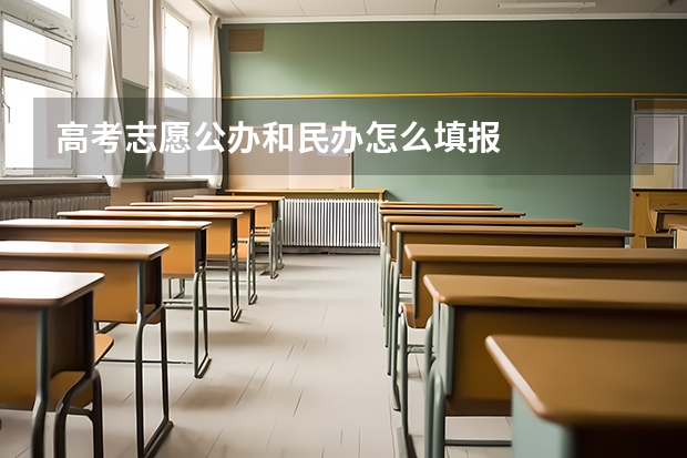 高考志愿公办和民办怎么填报