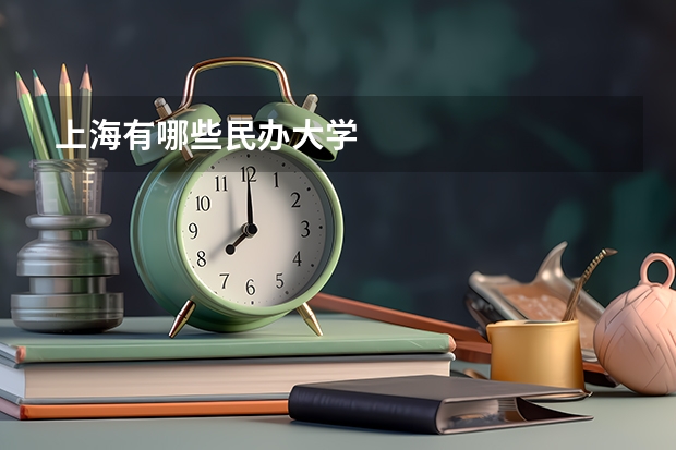 上海有哪些民办大学