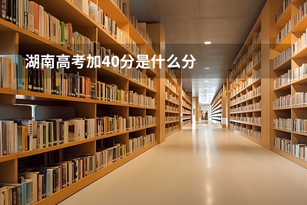 湖南高考加40分是什么分