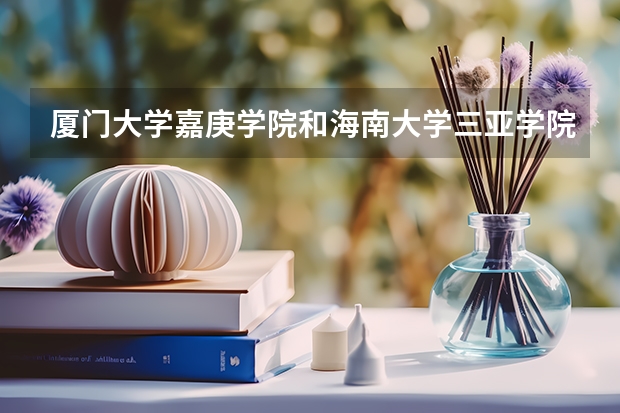 厦门大学嘉庚学院和海南大学三亚学院各方面哪个好?环境,设施,饭,宿舍,学风。。。