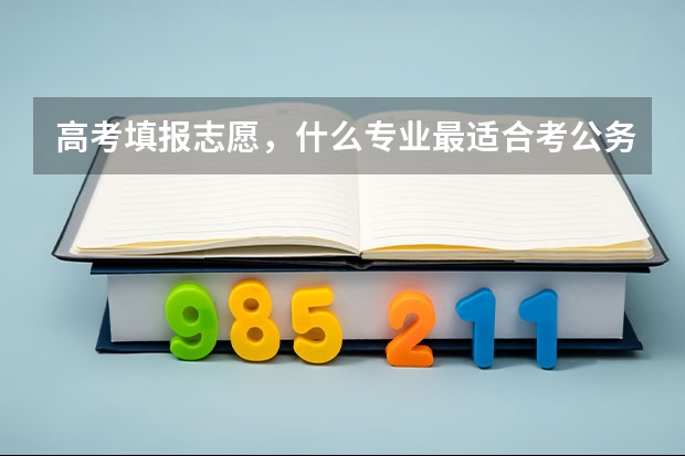 高考填报志愿,什么专业最适合考公务员?
