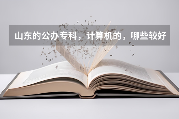 山东的公办专科，计算机的，哪些较好？