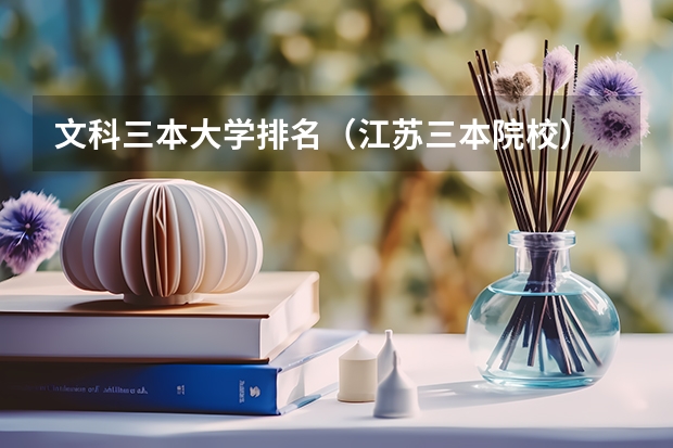 文科三本大学排名(江苏三本院校)