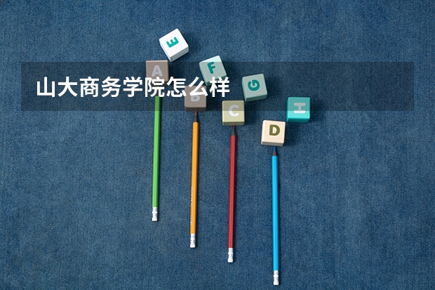山大商务学院怎么样