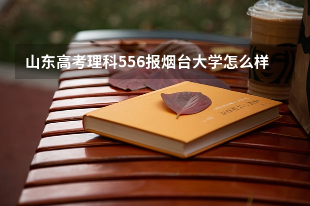 山东高考理科556报烟台大学怎么样
