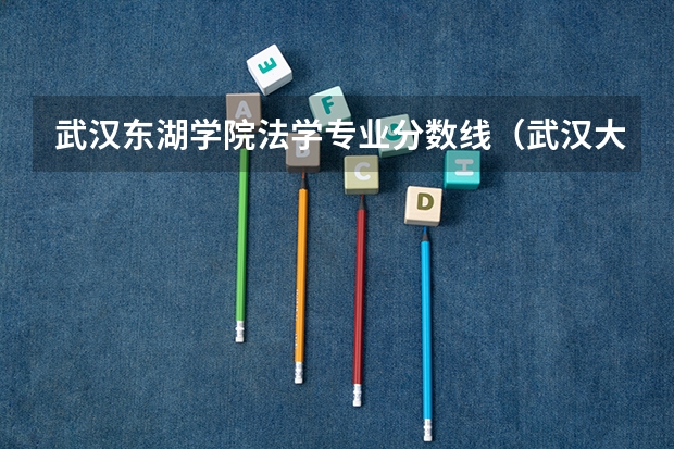 武汉东湖学院法学专业分数线（武汉大学法学录取分数线）