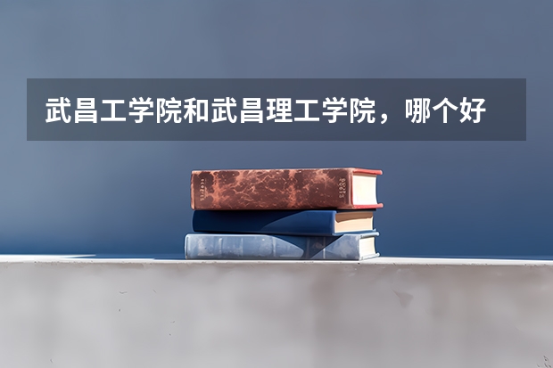 武昌工学院和武昌理工学院，哪个好