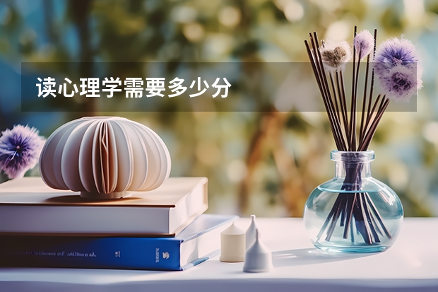 读心理学需要多少分