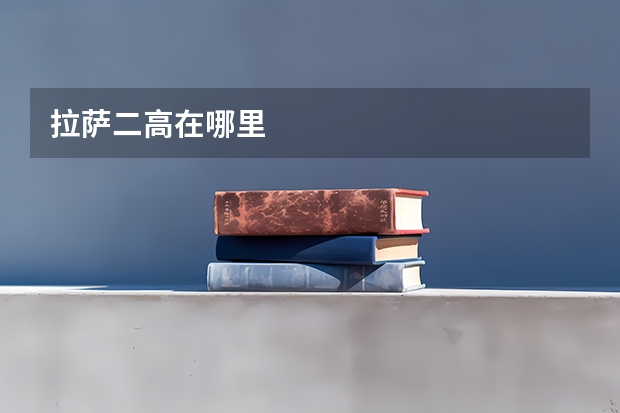 拉萨二高在哪里