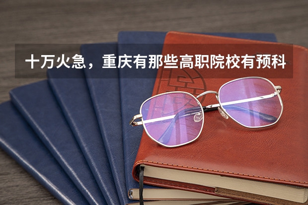 十万火急,重庆有那些高职院校有预科班 重庆电子工程职业学院国家示范高职院校重点建设专业名单