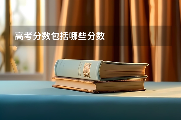 高考分数包括哪些分数