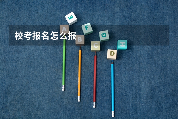 校考报名怎么报