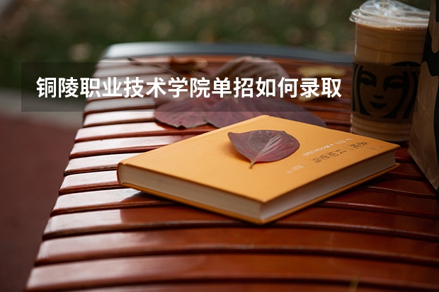 铜陵职业技术学院单招如何录取