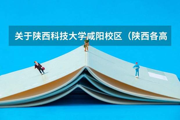 关于陕西科技大学咸阳校区（陕西各高校录取分数线）