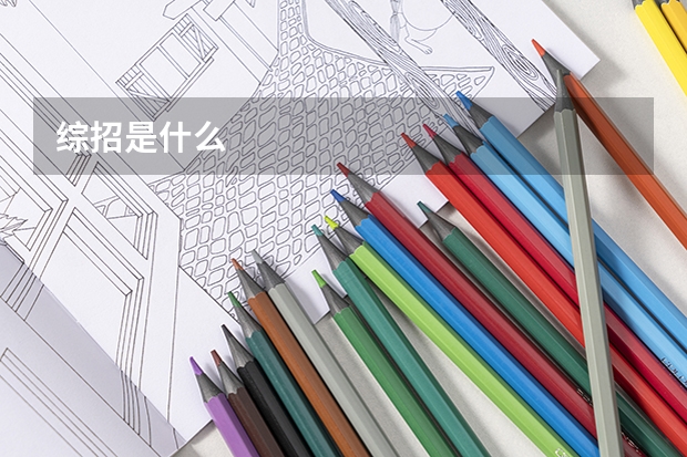 综招是什么