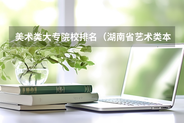 美术类大专院校排名（湖南省艺术类本科院校排名）