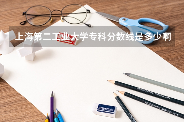 上海第二工业大学专科分数线是多少啊?