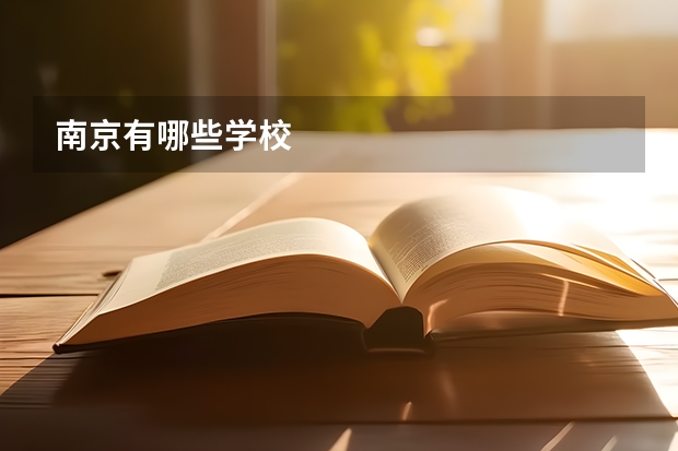 南京有哪些学校