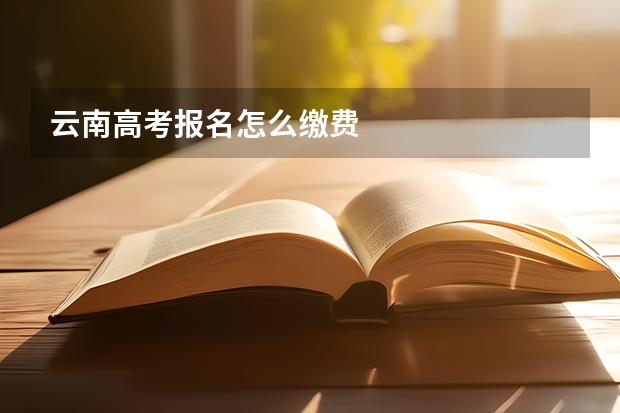 云南高考报名怎么缴费