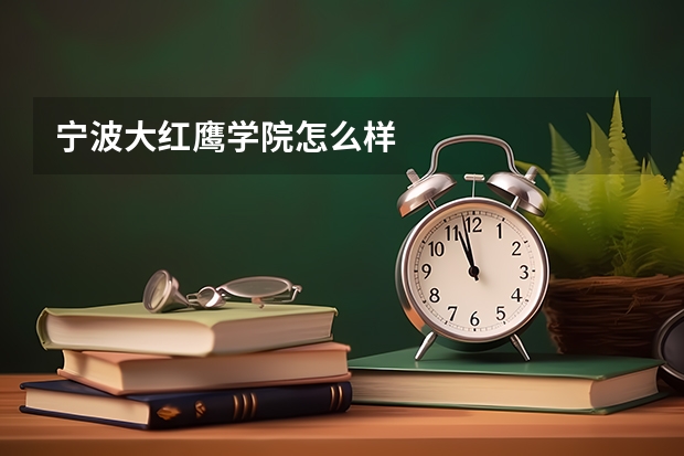 宁波大红鹰学院怎么样