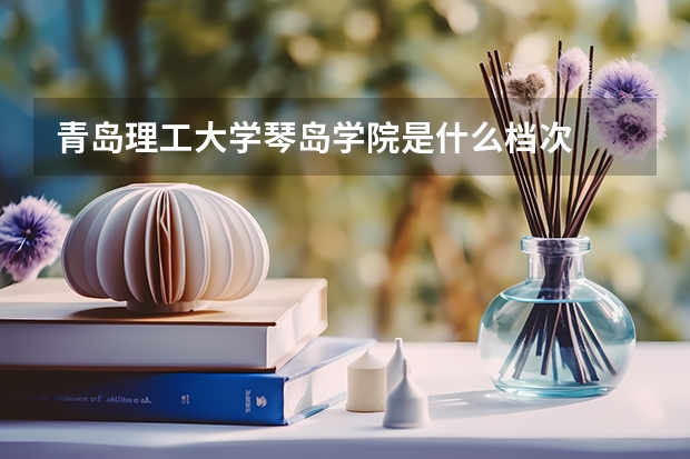 青岛理工大学琴岛学院是什么档次