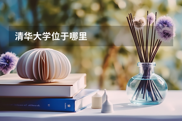 清华大学位于哪里