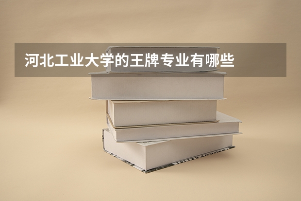 河北工业大学的王牌专业有哪些