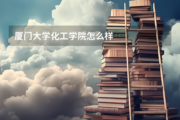 厦门大学化工学院怎么样