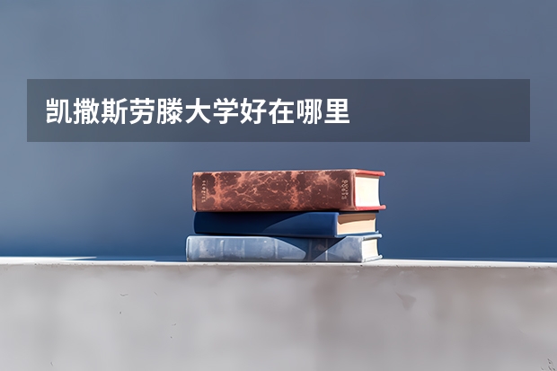 凯撒斯劳滕大学好在哪里