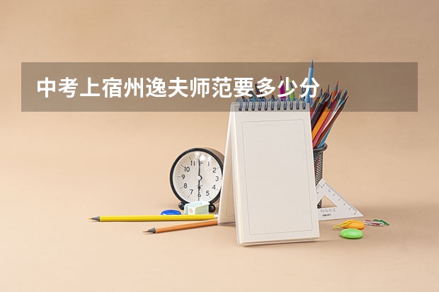 中考上宿州逸夫师范要多少分