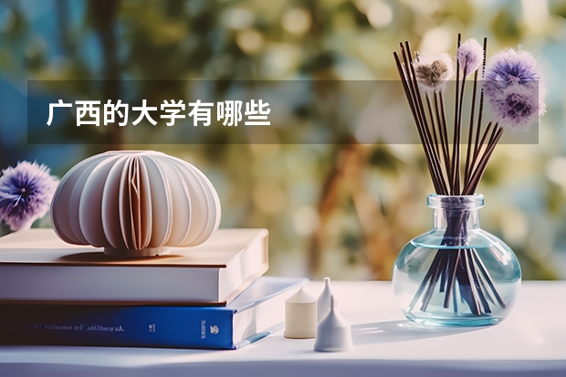 广西的大学有哪些