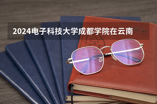 2024电子科技大学成都学院在云南高考招生计划介绍