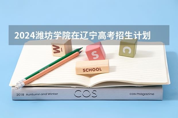 2024潍坊学院在辽宁高考招生计划介绍
