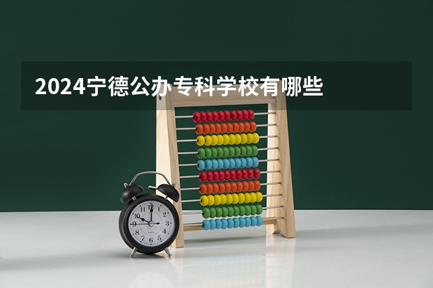 2024宁德公办专科学校有哪些