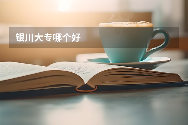 银川大专哪个好